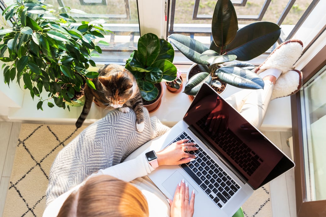 Person Using Laptop Alongside Cat